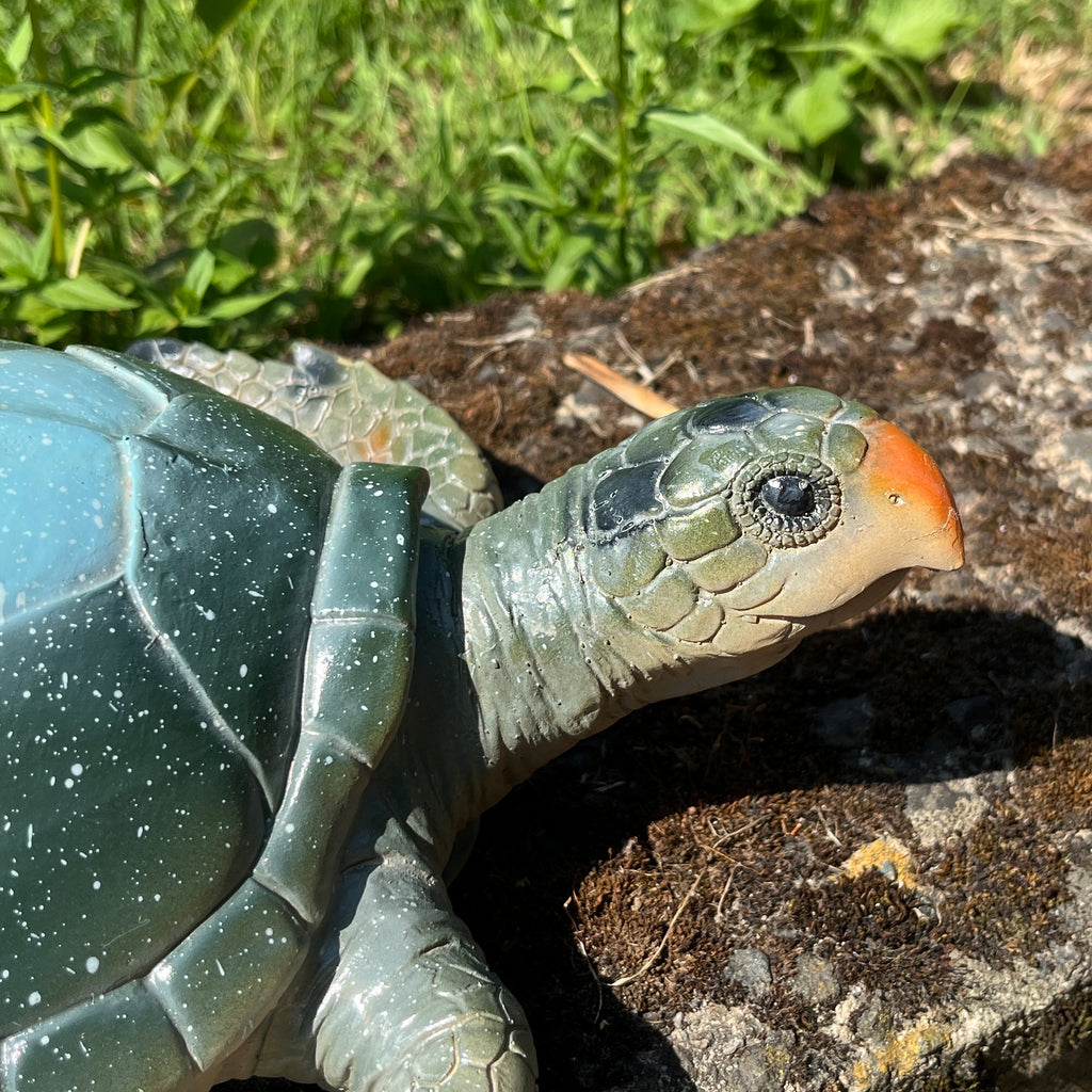 32.5cm Turtle Garden Ornament - Blue Shell