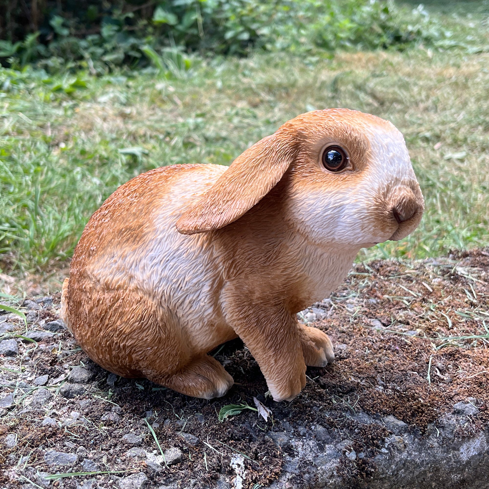 16.5cm Shy Rabbit Garden Ornament - Resin