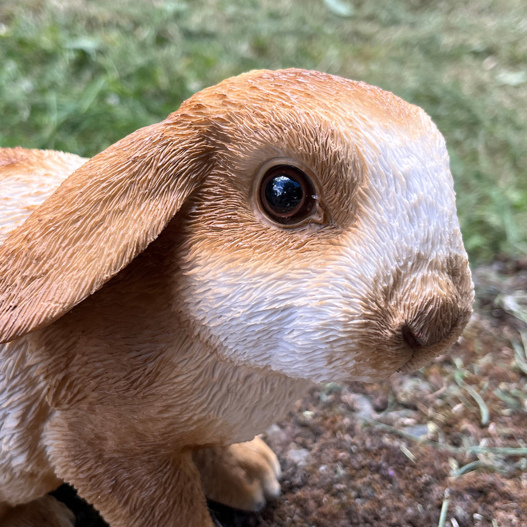 16.5cm Shy Rabbit Garden Ornament - Resin