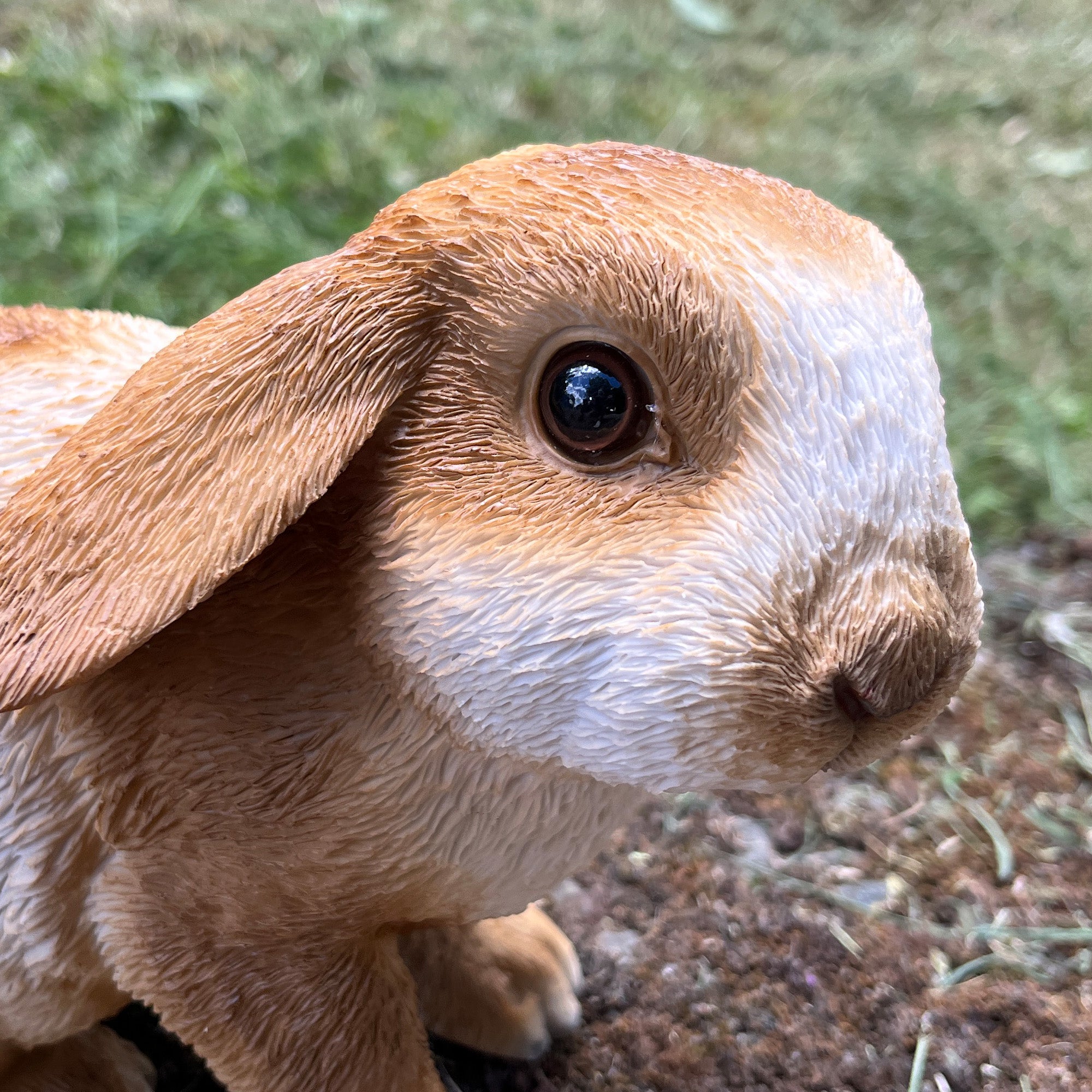 16.5cm Shy Rabbit Garden Ornament - Resin