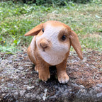 16.5cm Shy Rabbit Garden Ornament - Resin