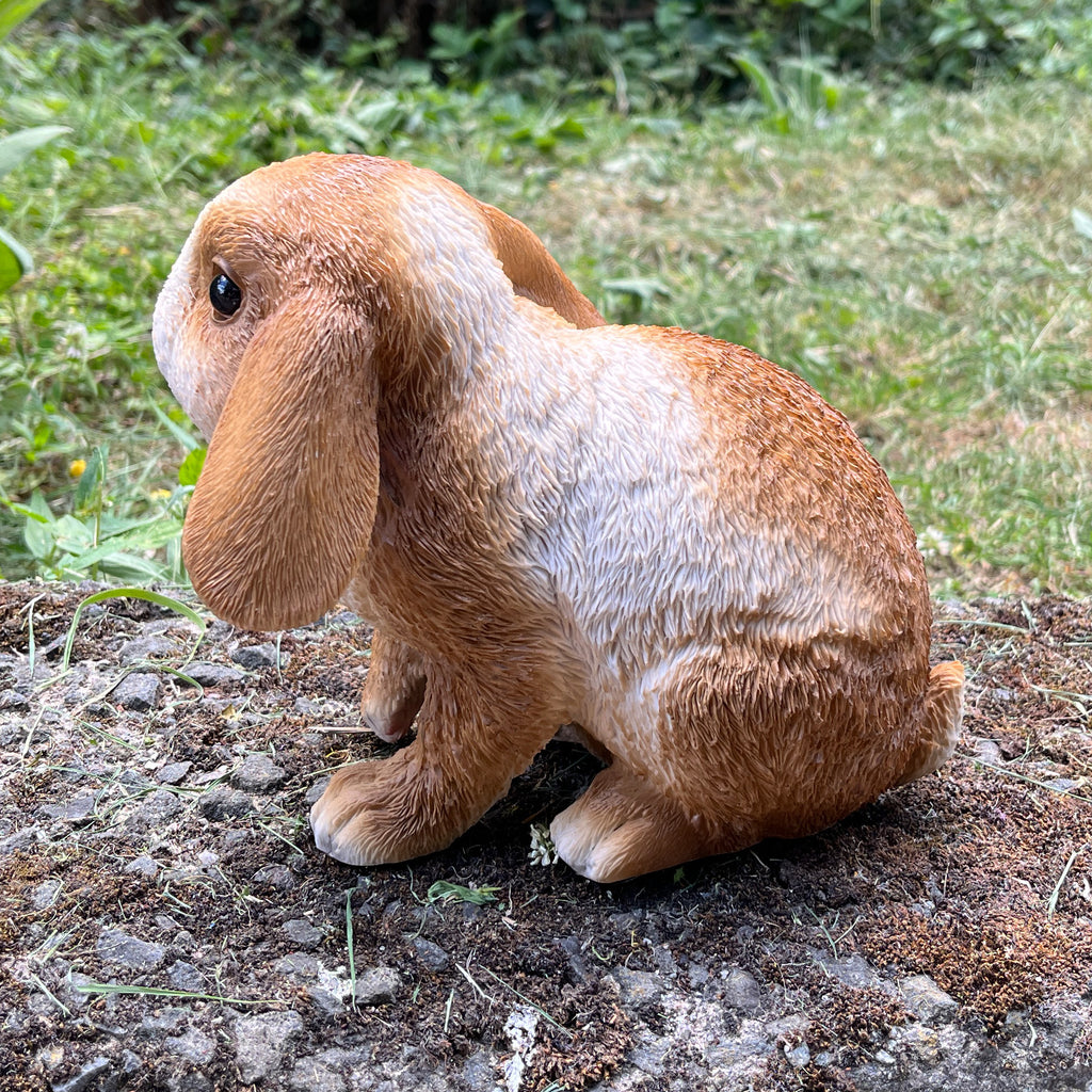 16.5cm Shy Rabbit Garden Ornament - Resin