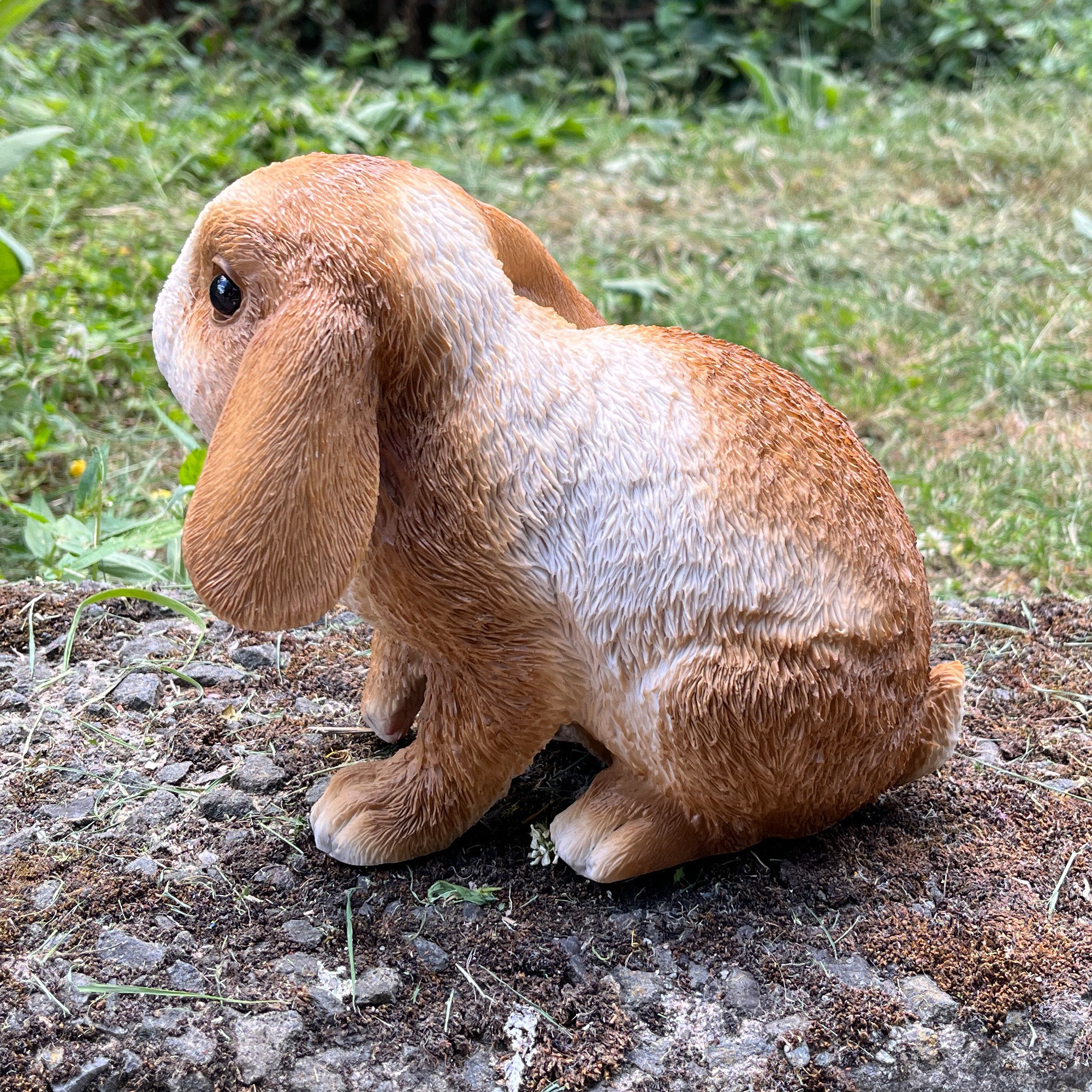 16.5cm Shy Rabbit Garden Ornament - Resin