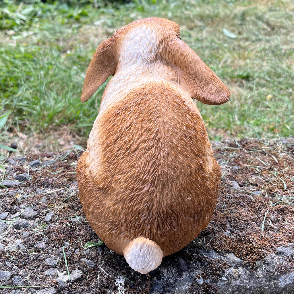 16.5cm Shy Rabbit Garden Ornament - Resin