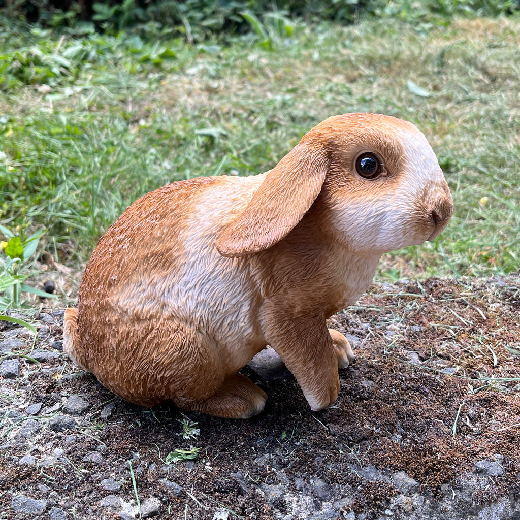 16.5cm Shy Rabbit Garden Ornament - Resin