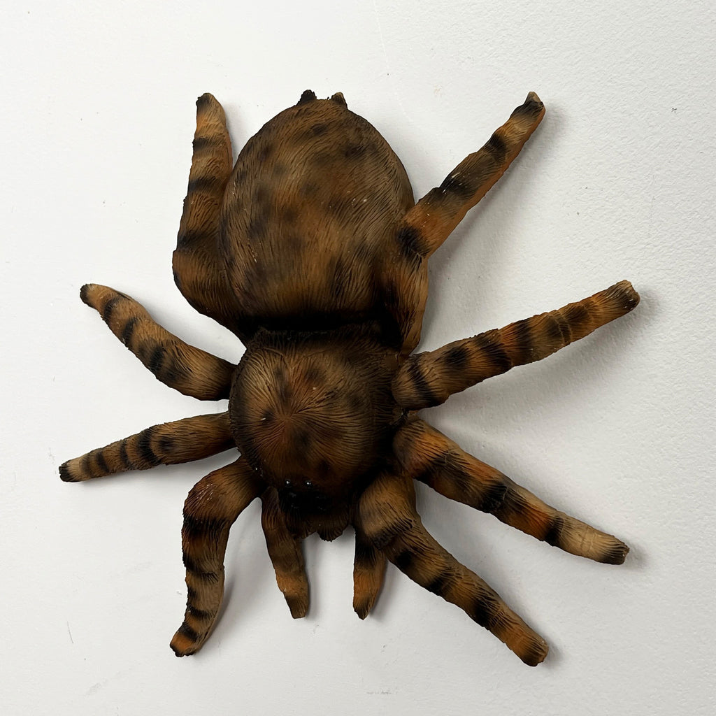 16.5cm Tarantula Spider Wall Decoration - Resin