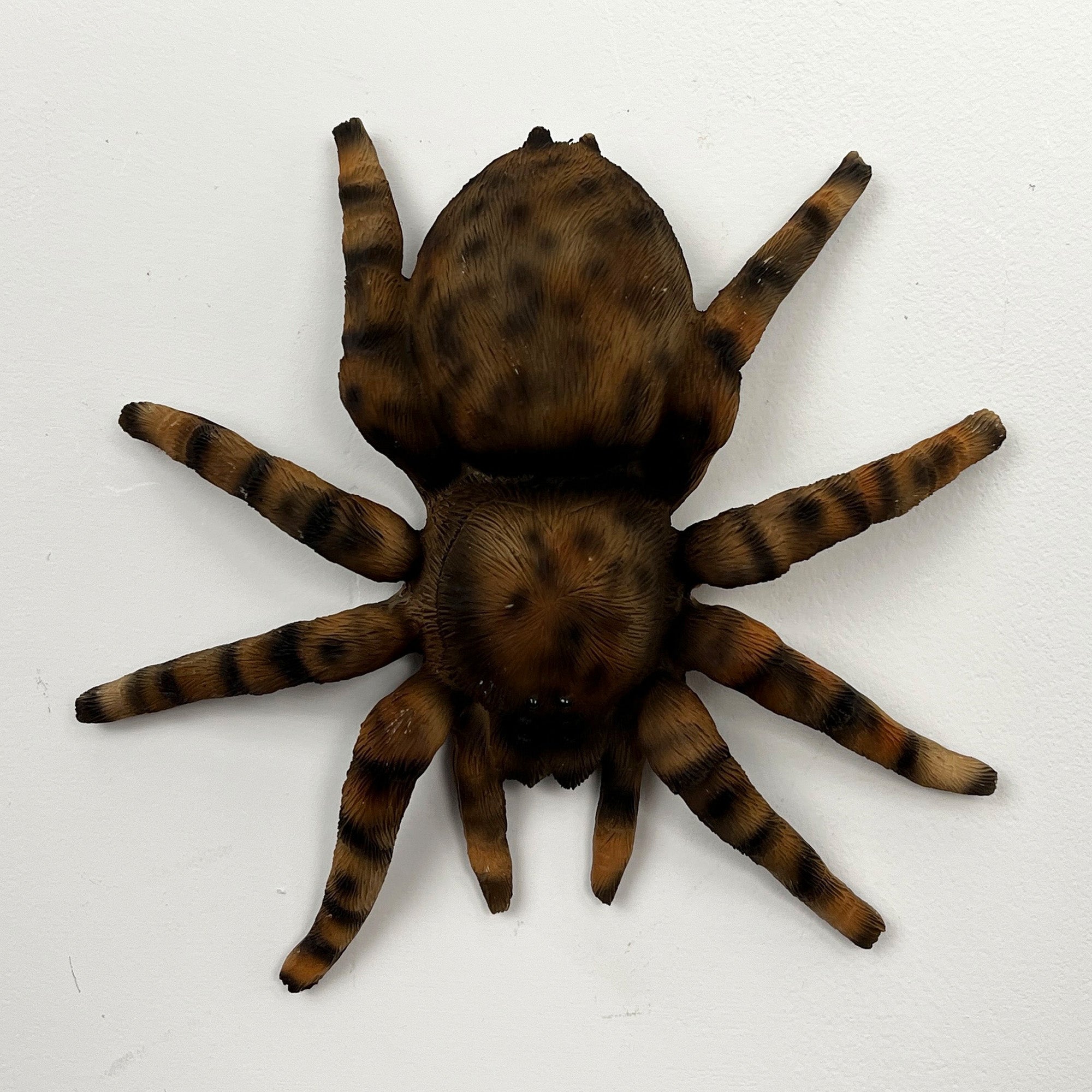 16.5cm Tarantula Spider Wall Decoration - Resin