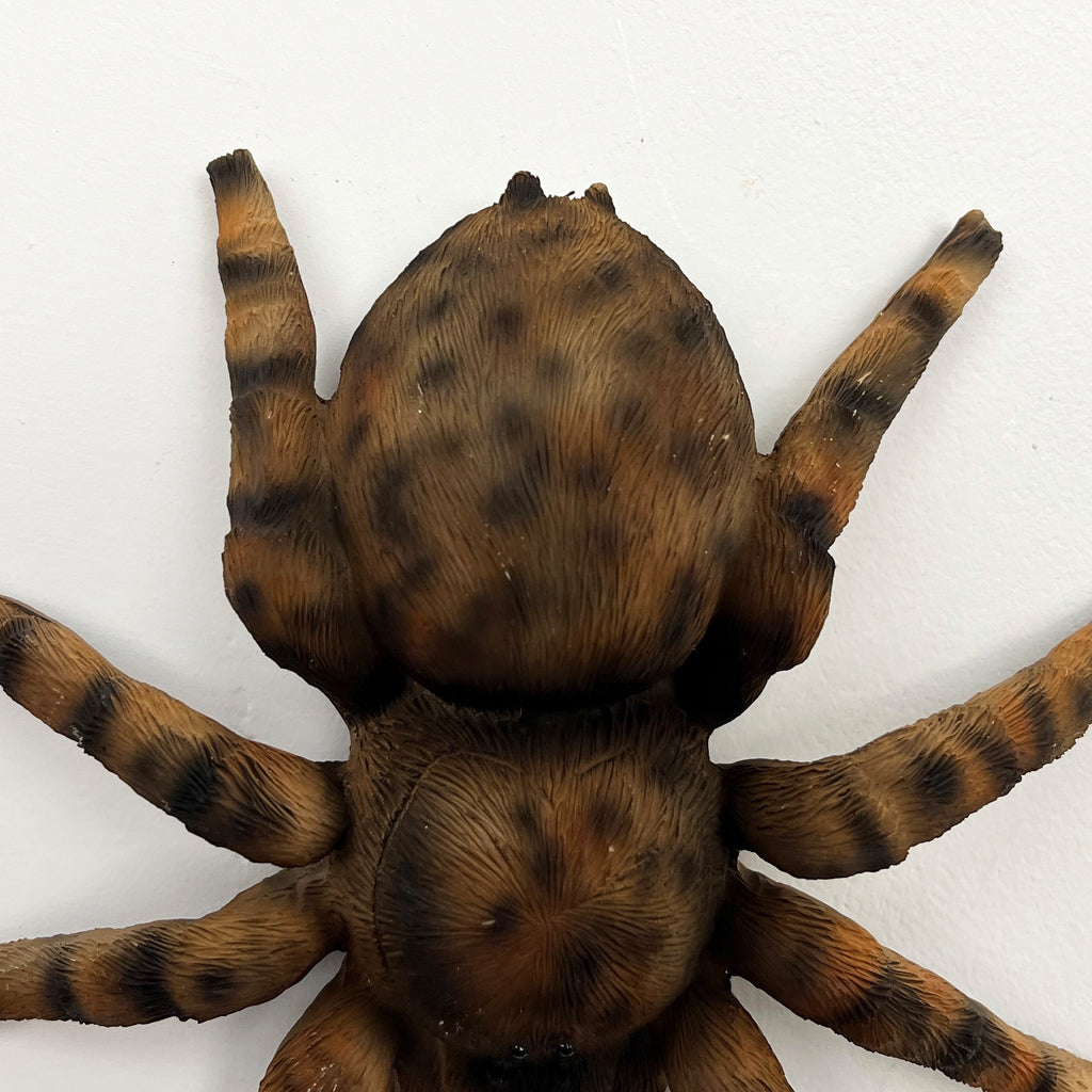 16.5cm Tarantula Spider Wall Decoration - Resin