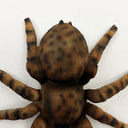16.5cm Tarantula Spider Wall Decoration - Resin