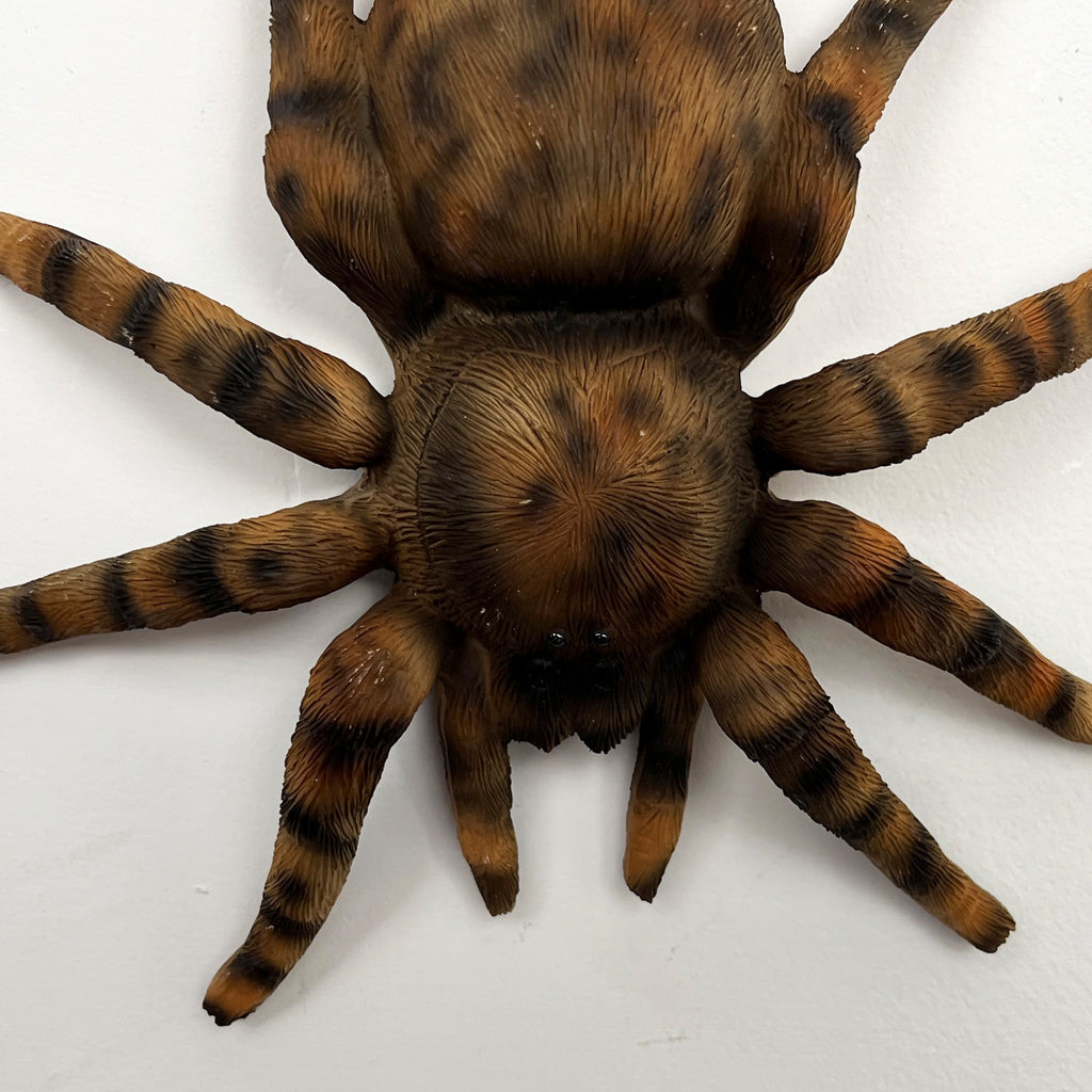 16.5cm Tarantula Spider Wall Decoration - Resin