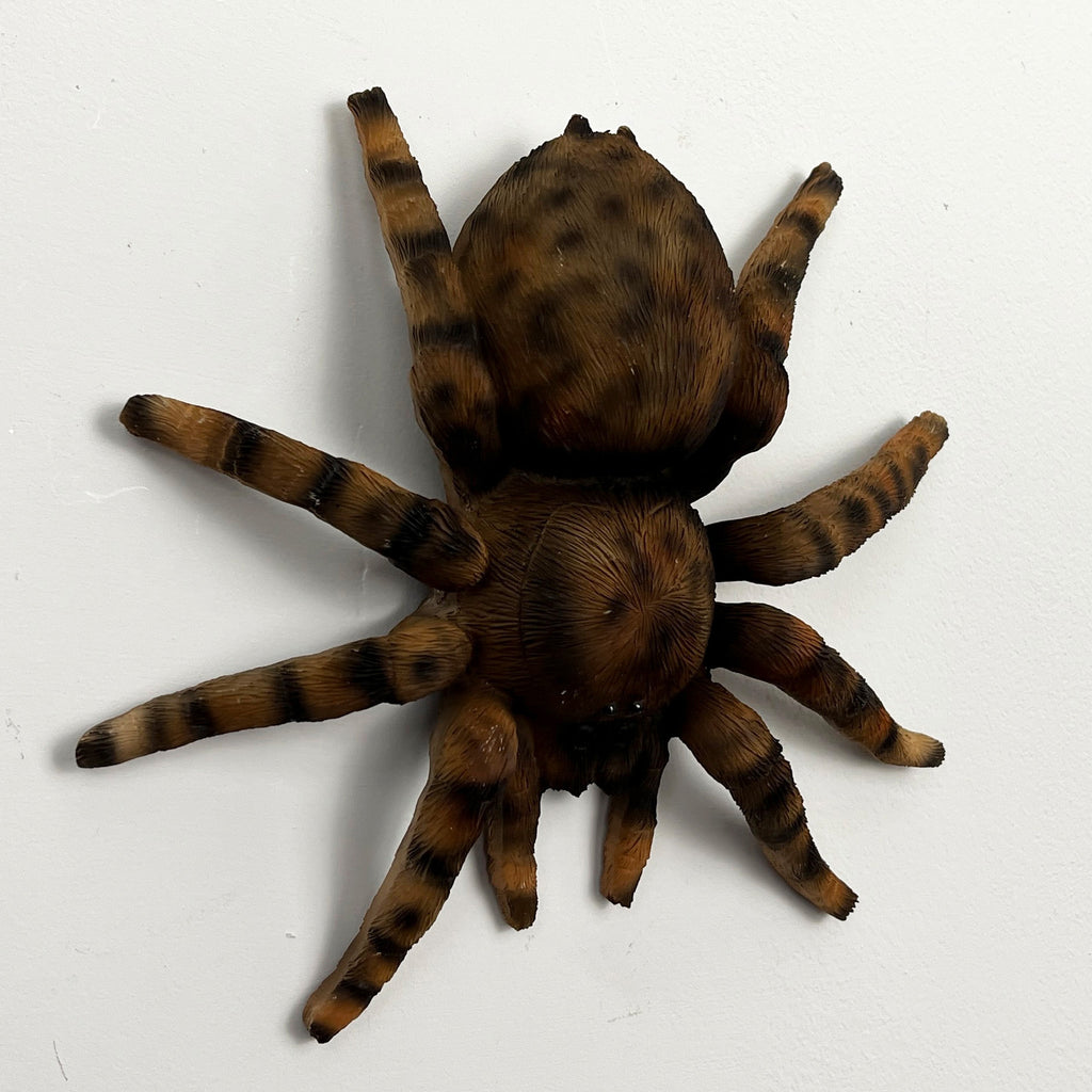 16.5cm Tarantula Spider Wall Decoration - Resin
