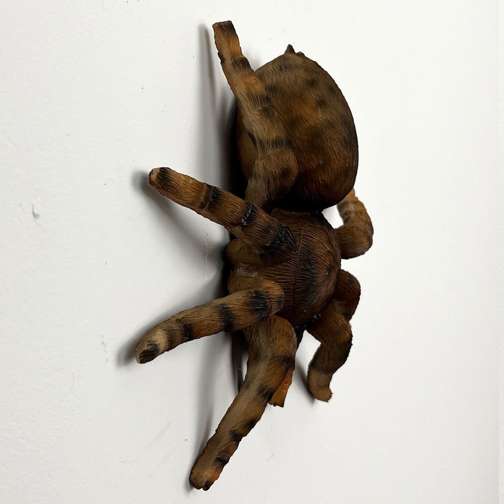 16.5cm Tarantula Spider Wall Decoration - Resin