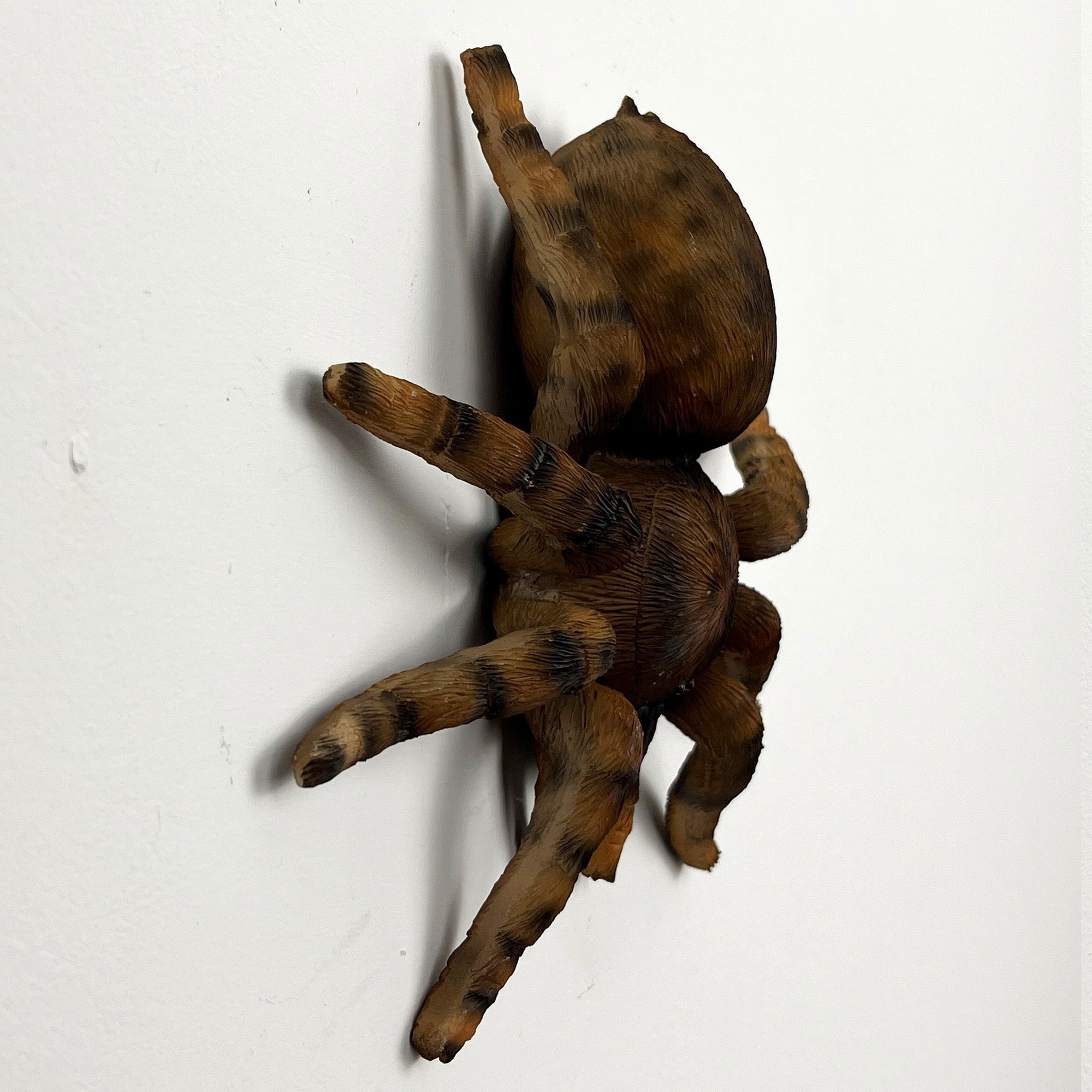 16.5cm Tarantula Spider Wall Decoration - Resin