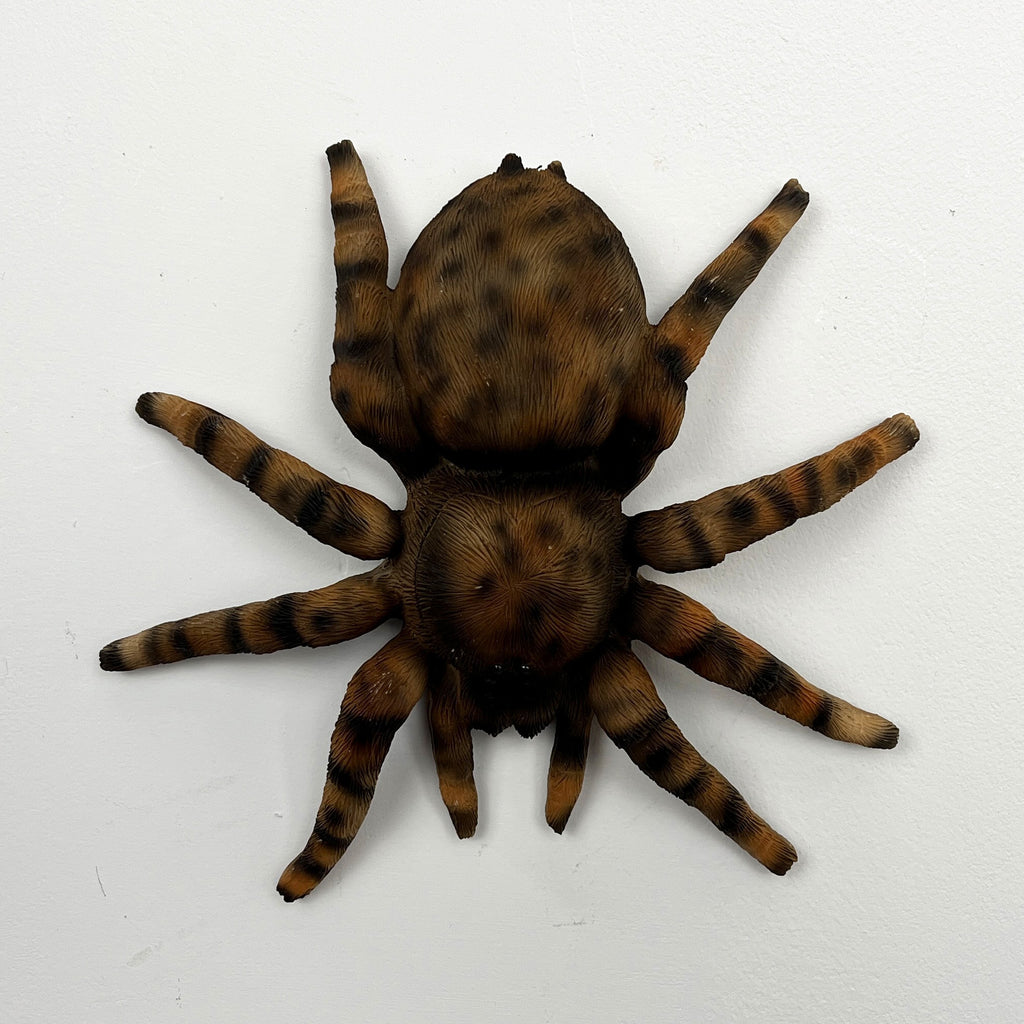 16.5cm Tarantula Spider Wall Decoration - Resin
