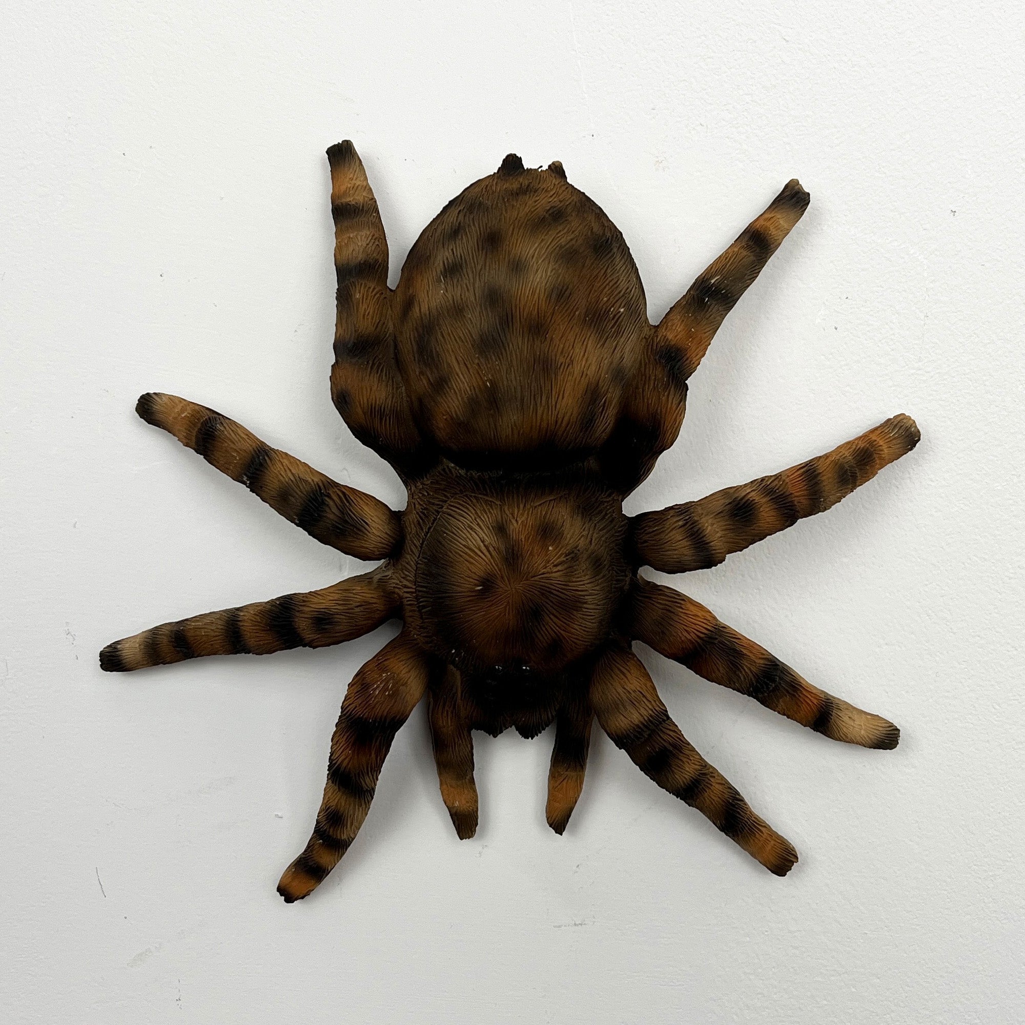 16.5cm Tarantula Spider Wall Decoration - Resin