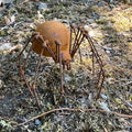 13.5cm Small Rusty Spider Garden Ornament - Metal