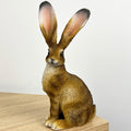 22.5cm Tall Sitting Hare Ornament – Resin