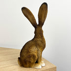 22.5cm Tall Sitting Hare Ornament – Resin