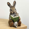 18.5cm Bunny Rabbit Reading Ornament – Resin