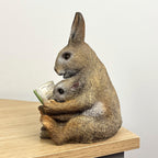 18.5cm Bunny Rabbit Reading Ornament – Resin