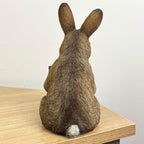 18.5cm Bunny Rabbit Reading Ornament – Resin