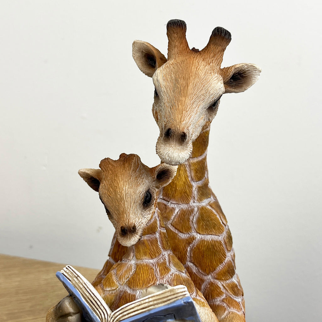 18.5cm Giraffe Reading Ornament – Resin