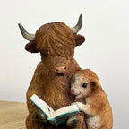 18.5cm Highland Cow Reading Ornament – Resin