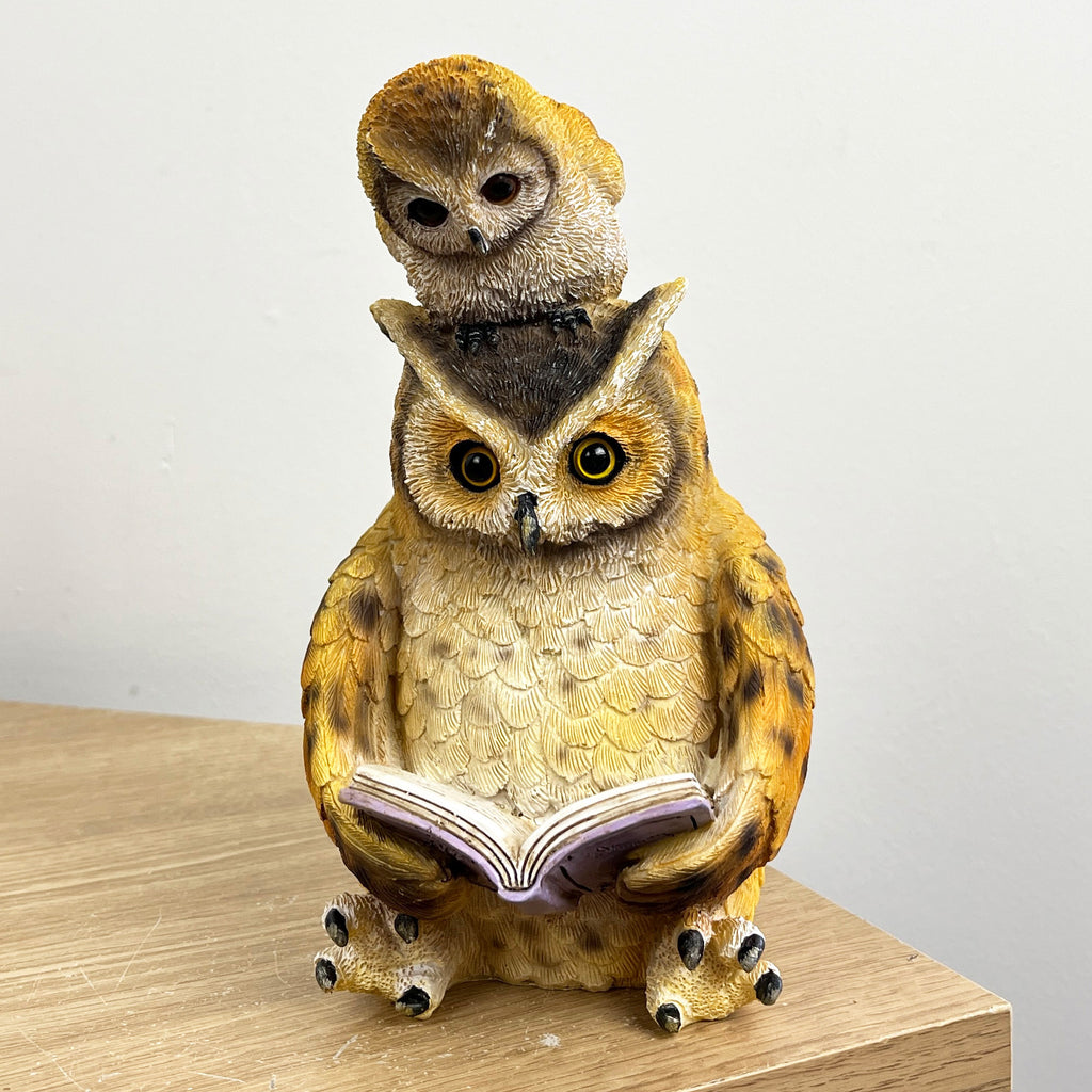 18cm Owl Reading Ornament – Resin
