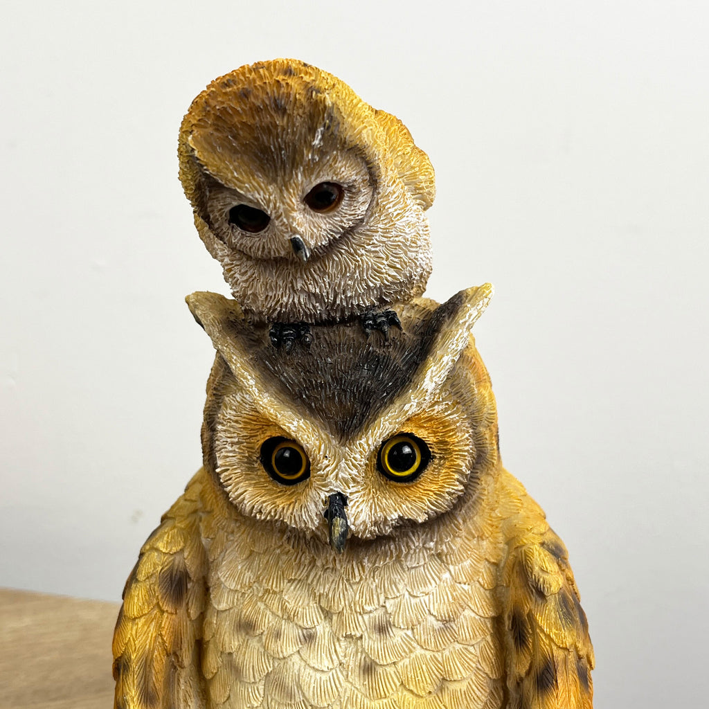 18cm Owl Reading Ornament – Resin