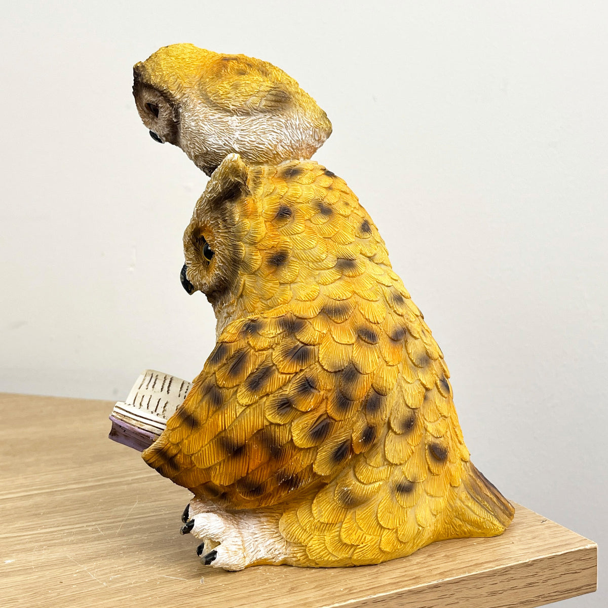 18cm Owl Reading Ornament – Resin