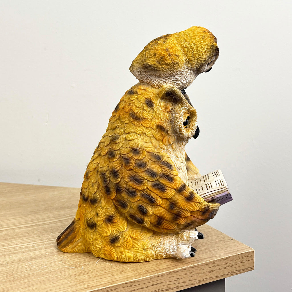 18cm Owl Reading Ornament – Resin