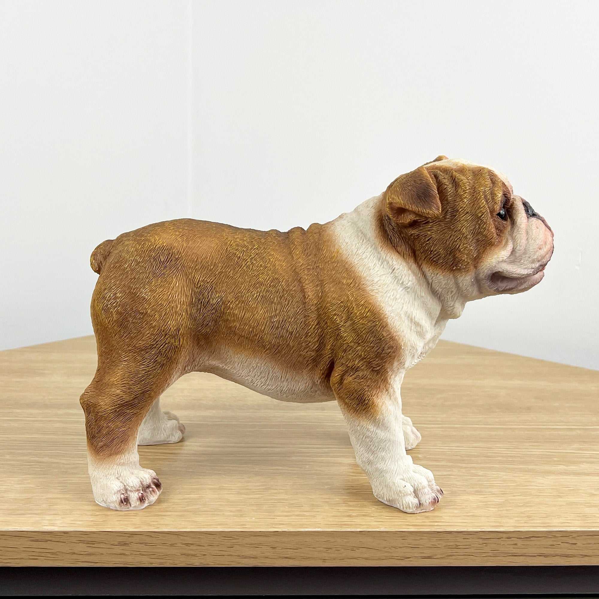 Brown & White Bulldog Ornament - Resin