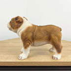 Brown & White Bulldog Ornament - Resin