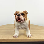 Brown & White Bulldog Ornament - Resin
