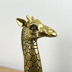 26.5cm Giraffe Head Ornament - Resin