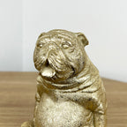 14.5cm Fat Sitting Pug Dog Ornament - Resin