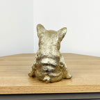 14.3cm Sitting French Bulldog Ornament - Resin