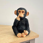 17.5cm Cute Confused Monkey Ornament - Resin