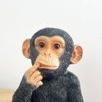 17.5cm Cute Confused Monkey Ornament - Resin
