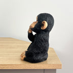 17.5cm Cute Confused Monkey Ornament - Resin