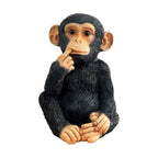 17.5cm Cute Confused Monkey Ornament - Resin