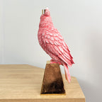 27cm Pink Bird Candle Holder – Resin