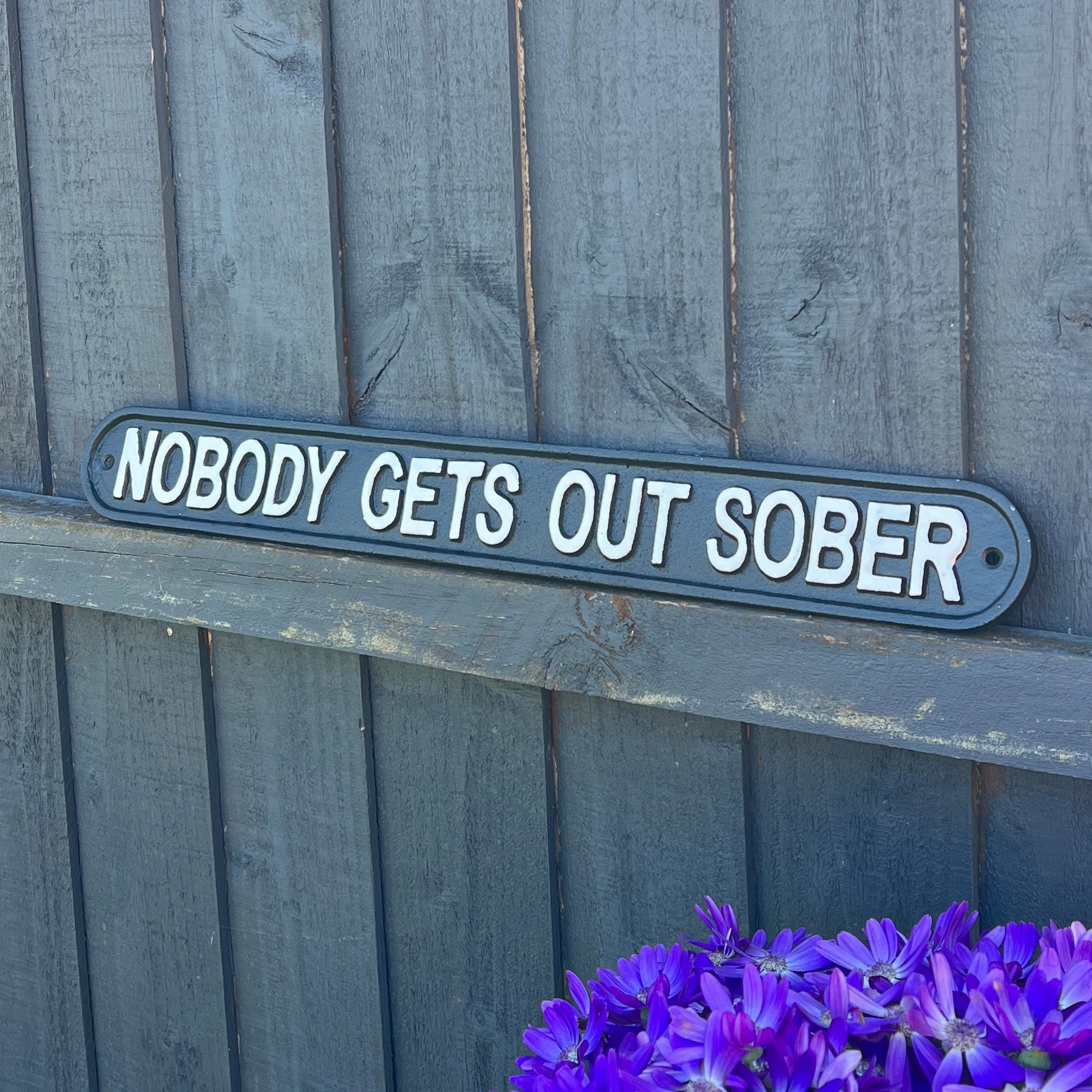 48.5cm Large Cast Iron 'Nobody Get's Out Sober' Wall Sign / Plaque