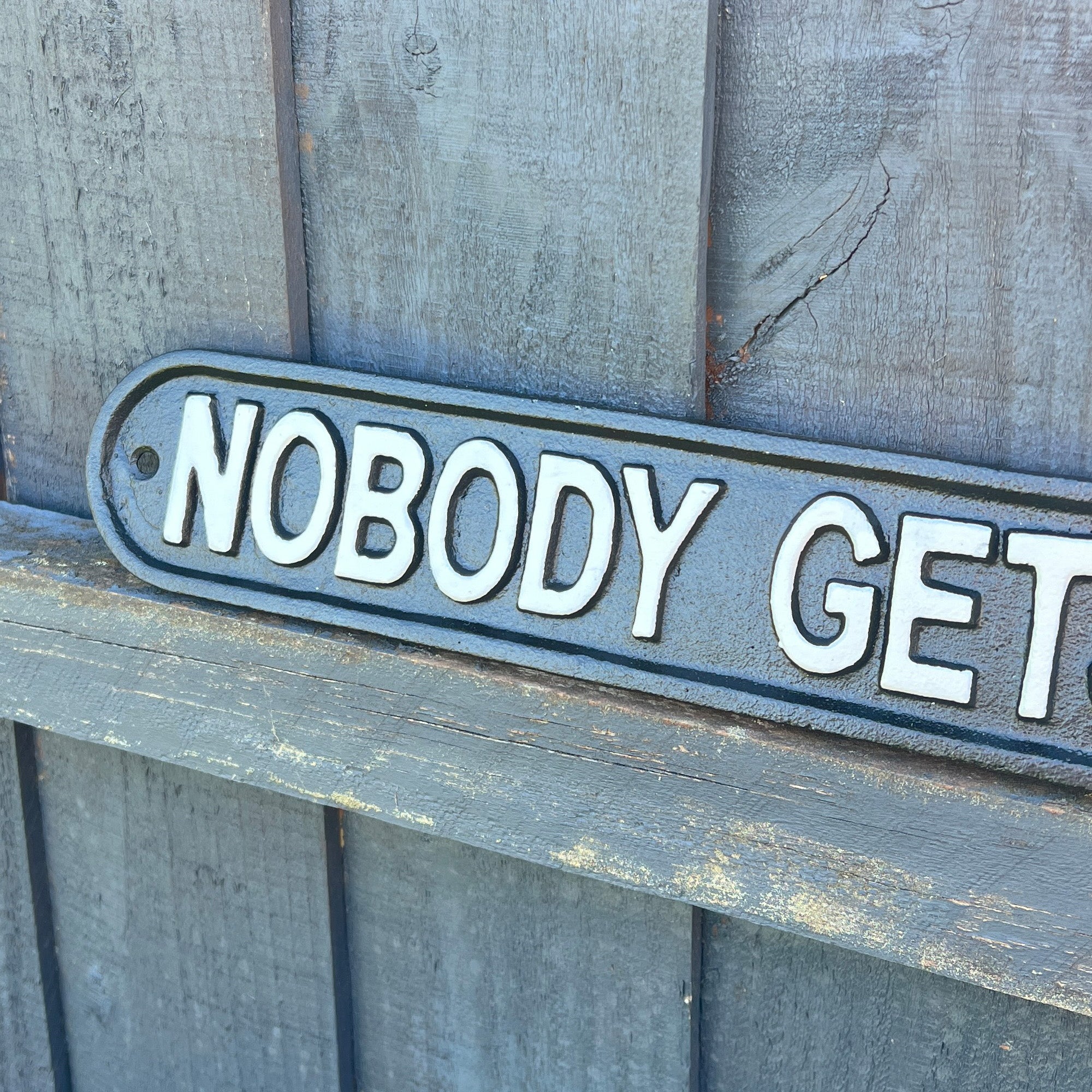 48.5cm Large Cast Iron 'Nobody Get's Out Sober' Wall Sign / Plaque