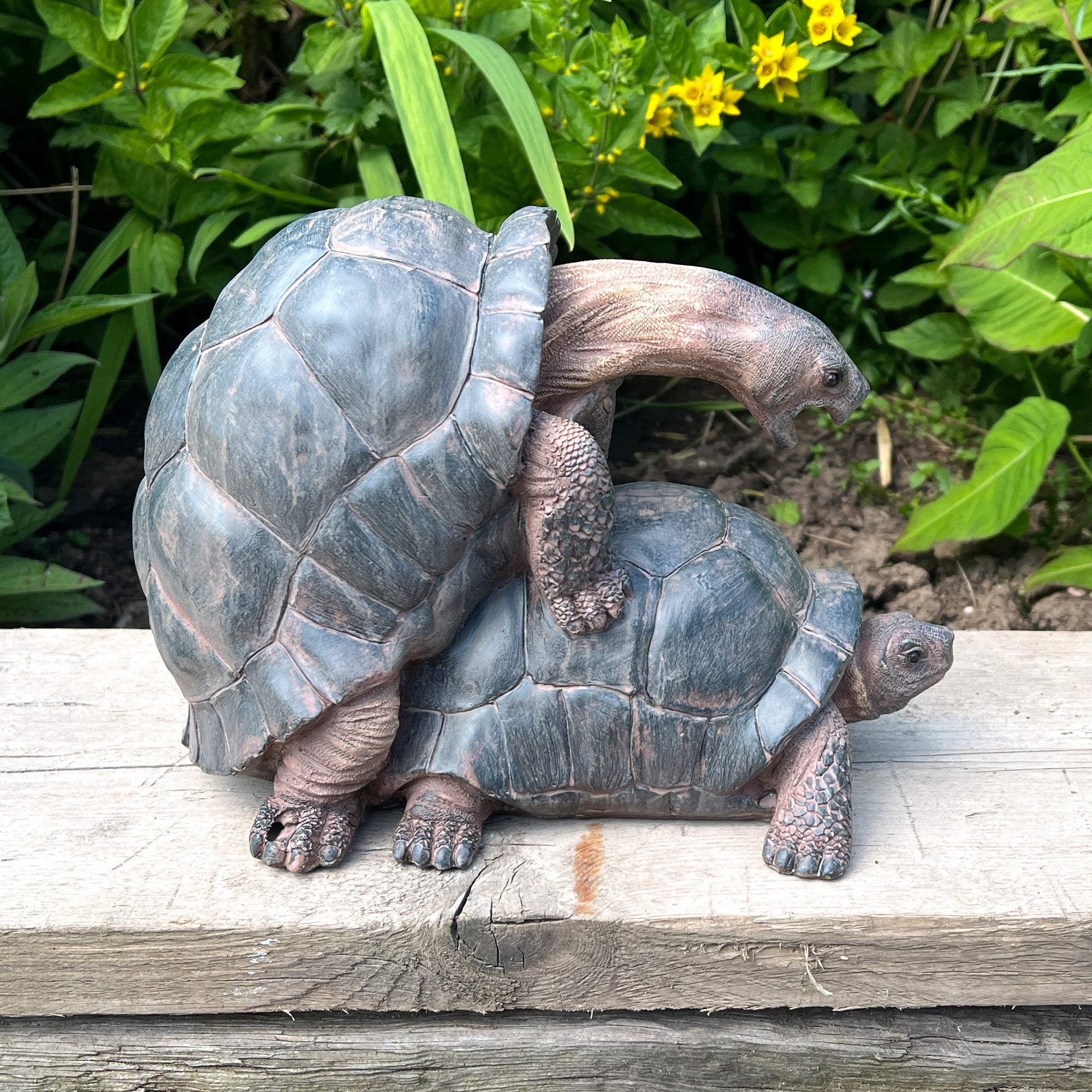Cheeky Mating Tortoises Ornament - Resin