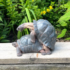 Cheeky Mating Tortoises Ornament - Resin