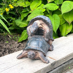 Cheeky Mating Tortoises Ornament - Resin