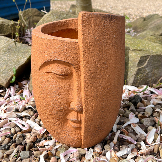30cm Abstract Face Plant Pot