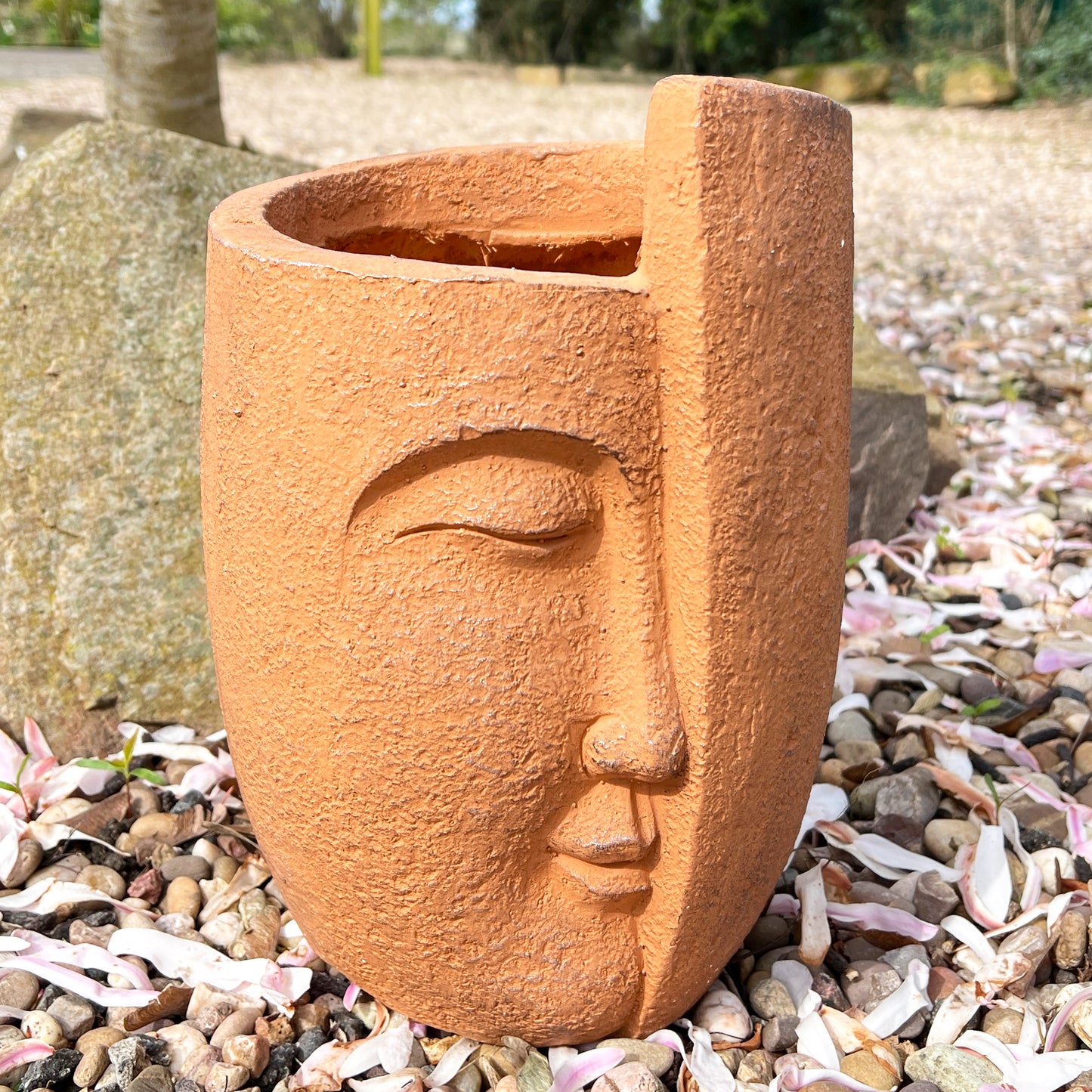 30cm Abstract Face Plant Pot