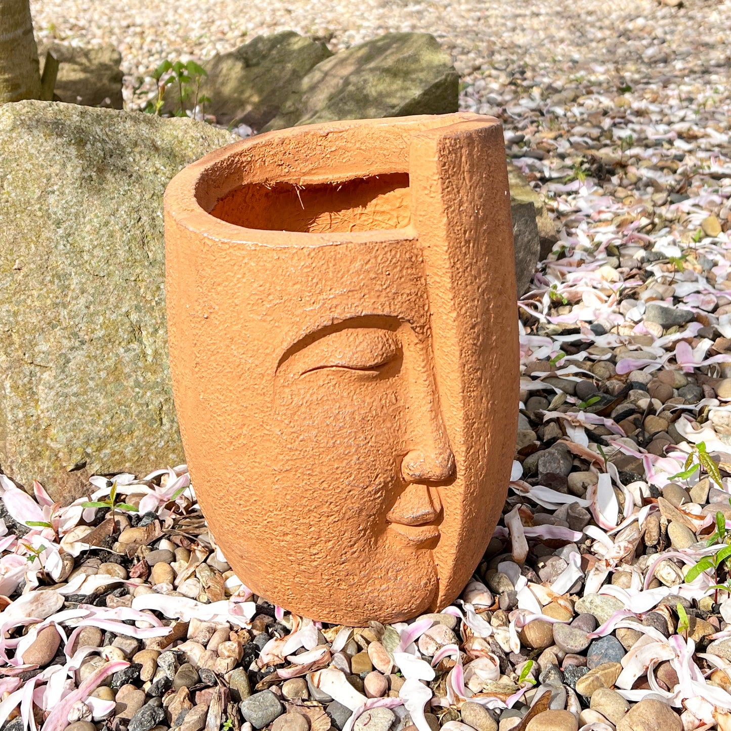 30cm Abstract Face Plant Pot